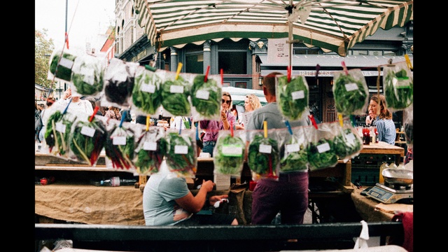 Video Reference: Public space, Plant, Event, Flower, Market, City