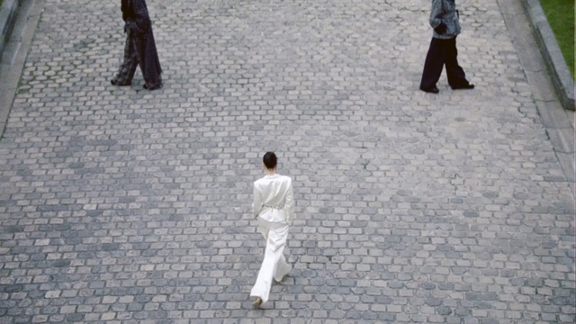 Video Reference: T'ai chi ch'uan, Walking, Games, Pedestrian, Person