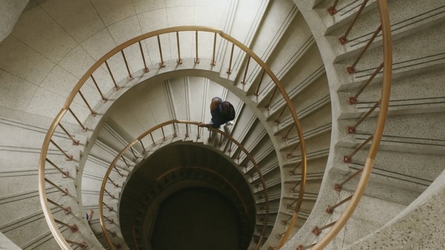Video Reference: Stairs, Ceiling, Architecture, Spiral, Daylighting, Arch, Reinforced concrete, Building, Composite material