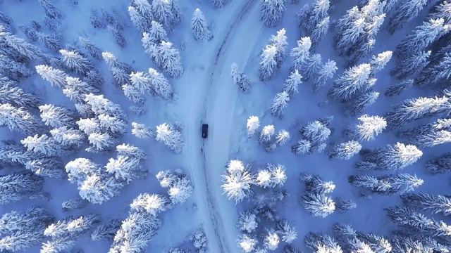 Video Reference: Blue, Frost, Winter, Freezing, Sky, Organism, Plant, Pattern, Snowflake, World