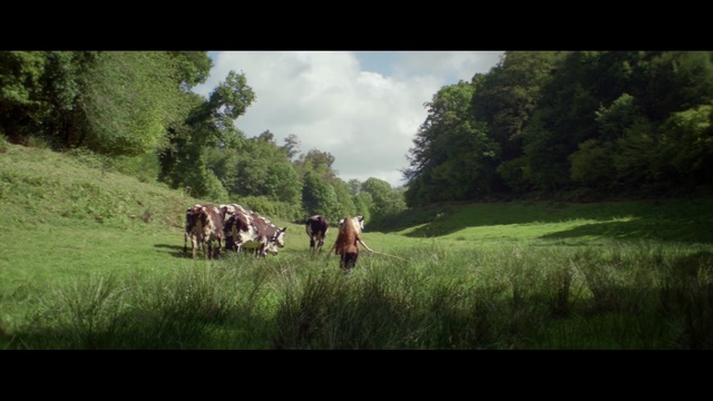 Video Reference: grassland, pasture, grass, field, meadow, agriculture, grazing, herd, rural area, highland, Person