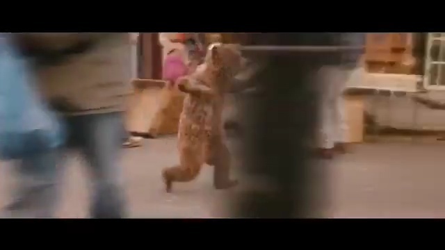 Video Reference: mammal, vertebrate, girl, human, small to medium sized cats, muscle, carnivoran, photo caption, cat like mammal