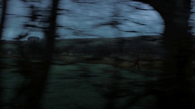 Video Reference: Black, Nature, Darkness, Tree, Sky, Natural environment, Light, Branch, Atmospheric phenomenon, Atmosphere