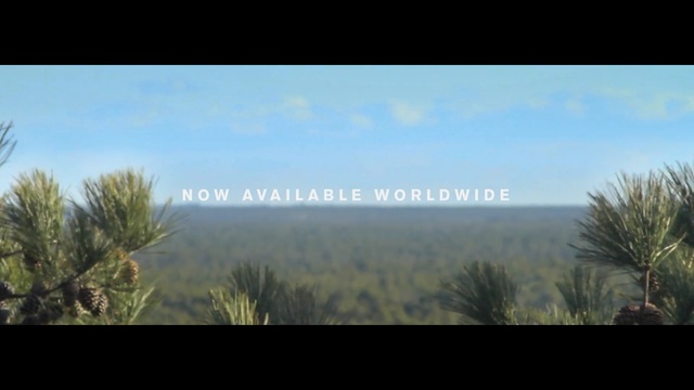 Video Reference: sky, ecosystem, vegetation, tree, grass, morning, shrubland, grass family, grassland, atmosphere