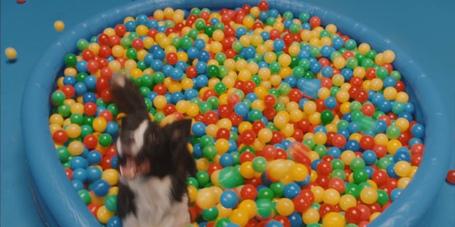 Video Reference: Ball pit, Sweetness, Food, Confectionery, Candy, Sprinkles, Snack