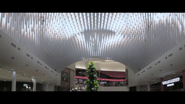 Video Reference: Ceiling, Architecture, Building, Lighting, Daylighting, Lobby, Interior design, Shopping mall