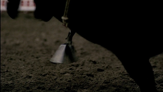 Video Reference: Black, Photograph, Darkness, Soil, Monochrome photography, Light, Snapshot, Black-and-white, Lighting, Photography