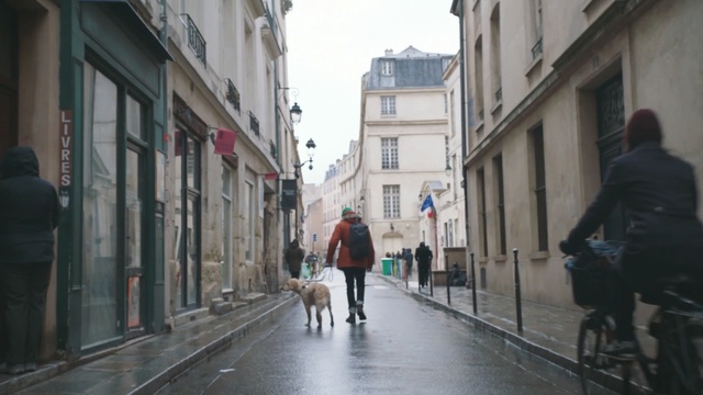 Video Reference: Street, Neighbourhood, Pedestrian, Town, Human settlement, Road, Lane, Dog walking, Infrastructure, Urban area, Person