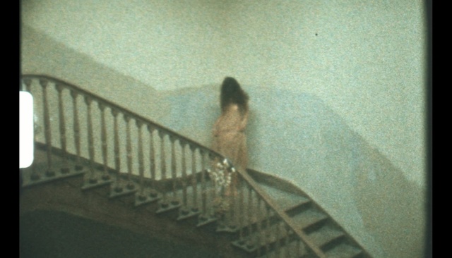 Video Reference: fauna, snapshot, tail, wing, wood, shadow, girl, angle