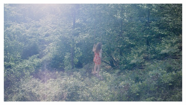 Video Reference: Vegetation, Atmospheric phenomenon, Natural environment, Tree, Forest, Sky, Biome, Hill station, Plant community, Jungle