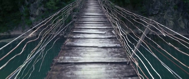 Video Reference: Bridge, Rope bridge, Suspension bridge, Tree, Inca rope bridge, Walkway, Nonbuilding structure, Stairs, Thoroughfare, Parallel