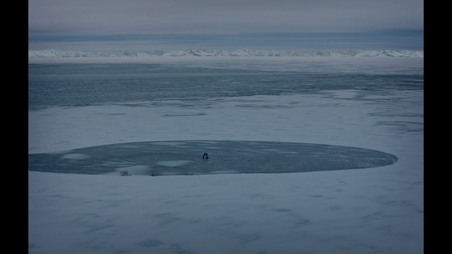 Video Reference: Ocean, Sky, Wave, Sea, Ice, Wind wave, Arctic, Horizon, Cloud, Surfing