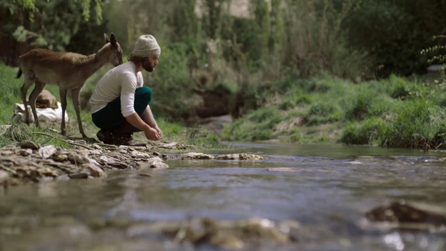 Video Reference: Nature, Stream, Water, Water resources, Jungle, Creek, River, Watercourse, Wilderness, Bank