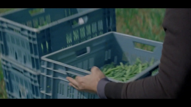 Video Reference: Green, Grass family, Leaf, Grass, Plant, Photography, Screenshot