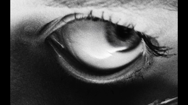 Video Reference: Eye, Face, Eyebrow, Eyelash, Black, Facial expression, Close-up, Organ, Skin, Black-and-white