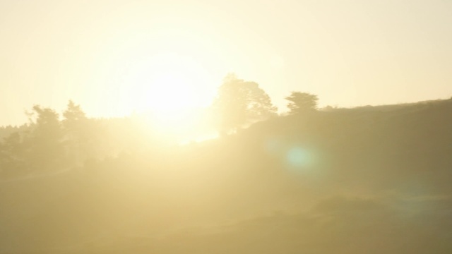 Video Reference: Sky, Atmospheric phenomenon, Sun, Morning, Sunlight, Light, Daytime, Sunrise, Atmosphere, Yellow