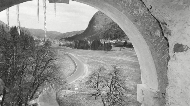 Video Reference: black and white, monochrome photography, arch, monochrome, tree, fixed link, landscape, road