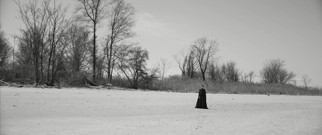 Video Reference: Snow, Winter, Black, Tree, Freezing, Black-and-white, Monochrome photography, Branch, Sky, Winter storm