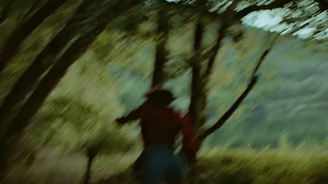 Video Reference: Nature, Green, Tree, Natural environment, Woodland, Leaf, Forest, Light, Old-growth forest, Jungle