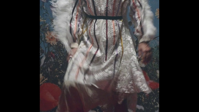 Video Reference: Clothing, Dress, Fashion, Painting, Art, Fur, Outerwear, Textile, Costume design, Portrait