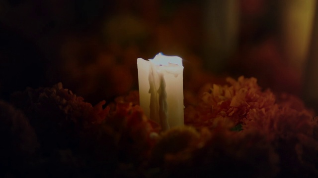 Video Reference: Candle, Lighting, Light, Wax, Sky, Sweetness, Interior design, Night, Side dish