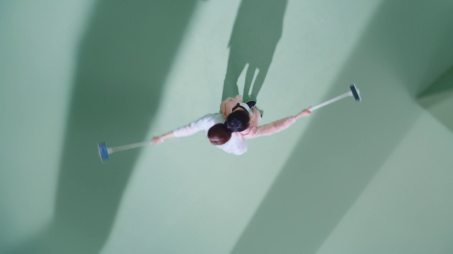 Video Reference: Insect, Line, Macro photography, Pest, Organism, Membrane-winged insect, Invertebrate, Ceiling