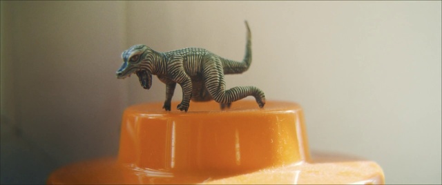 Video Reference: Dinosaur, Animal figure, Tyrannosaurus, Triceratops, Pachycephalosaurus, Tail, Plastic, Toy, Indoor, Orange, Cat, Yellow, Table, Sitting, Standing, Small, Food, Zebra, White, Wall, Animal