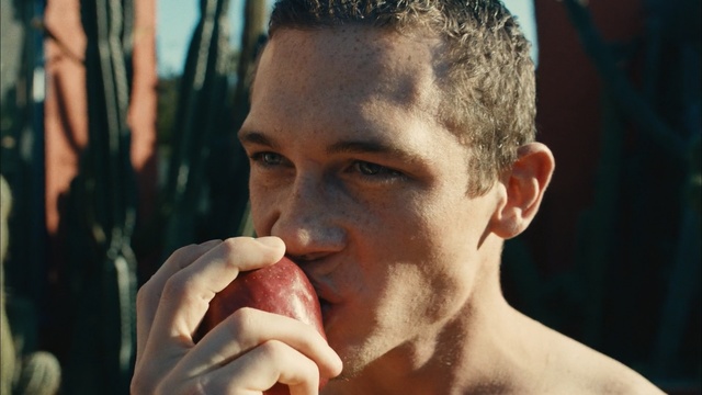 Video Reference: man, facial hair, chin, beard, human