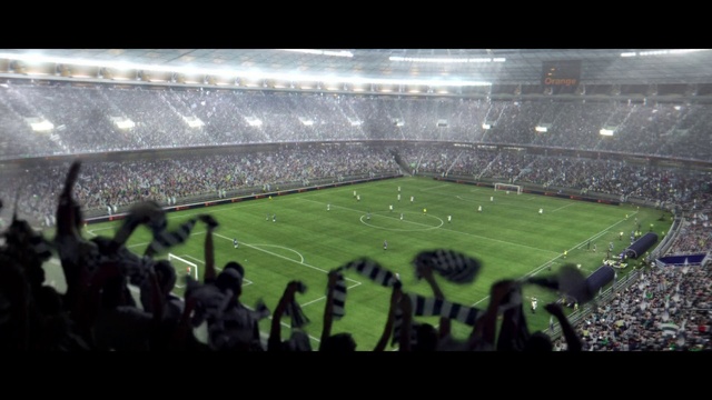 Video Reference: Stadium, Sport venue, Crowd, Arena, Soccer-specific stadium, Audience, People, Arena football, Grass, Player