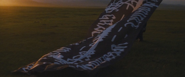 Video Reference: Arm, Sky, Leg, Grass, Wildlife, Neck