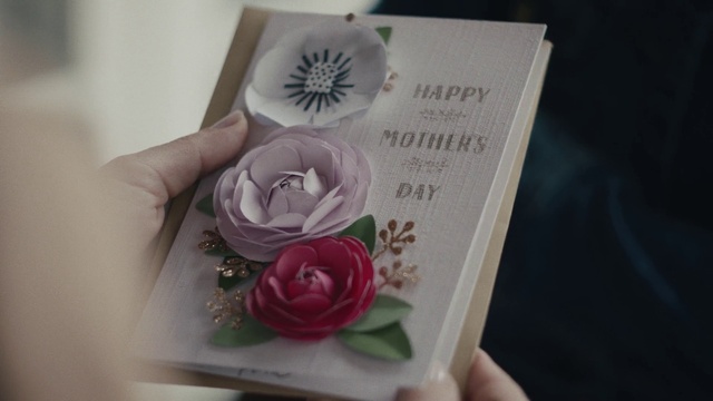 Video Reference: Pink, Flower, Rose, Garden roses, Hand, Plant, Petal, Rose family, Rose order, Nail