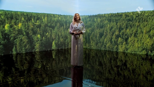 Video Reference: Water, Reflection, Tree, Plant, Forest