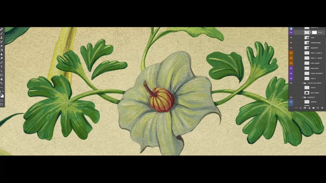 Video Reference: Flower, Plant, Petal, Terrestrial plant, Tree, Shrub, Flowering plant, Groundcover, Painting, Herbaceous plant