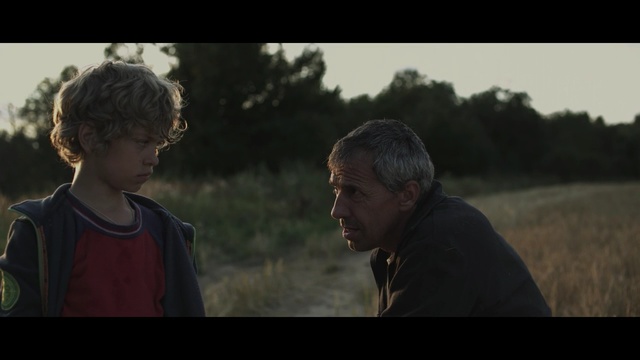 Video Reference: nature, tree, screenshot, male, sky, grass, human, sunlight, plant, darkness