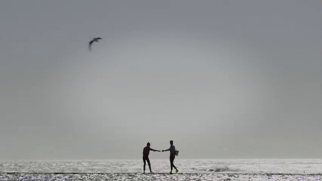 Video Reference: Sky, Horizon, Sea, Beach, Fun, Kite sports, Shore, Ocean, Kitesurfing, Vacation