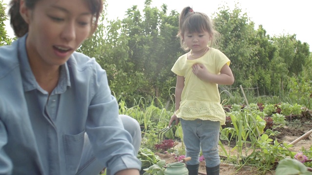 Video Reference: Adaptation, Child, Botany, Plant, Soil, Farm, Grass, Tree, Garden, Plantation