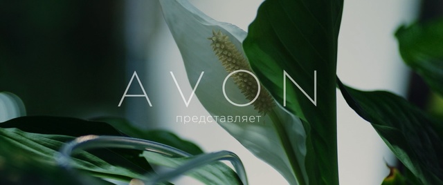 Video Reference: Leaf, Plant, Flower, Botany, Anthurium, Plant stem, Houseplant, Arum family, Alismatales