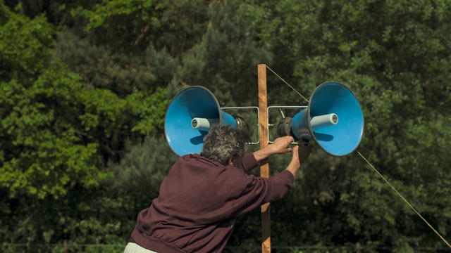 Video Reference: nature, green, tree, grass, fun, plant, recreation, sky