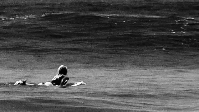 Video Reference: Water bird, Duck, Bird, Wave, Water, Wind wave, Waterfowl, Ducks, geese and swans, Black-and-white, Photography