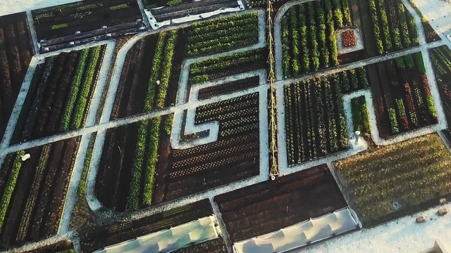 Video Reference: urban area, building, tree, metal, window, grass, water, house, facade