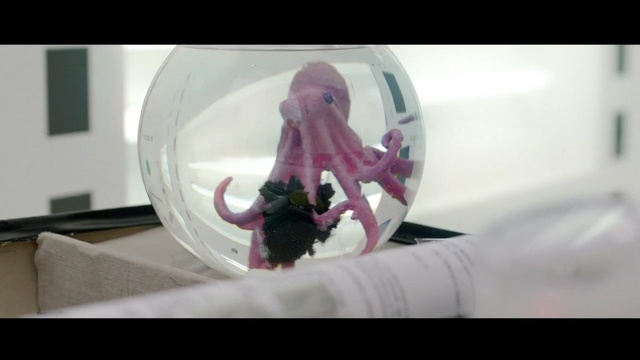 Video Reference: purple, mouth, arm, girl, product