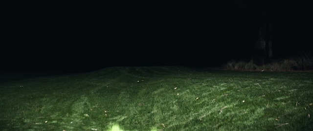 Video Reference: Green, Nature, Grass, Atmosphere, Light, Night, Sky, Natural environment, Leaf, Lighting
