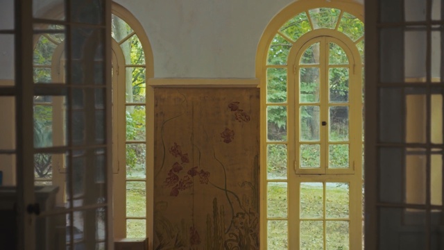 Video Reference: stained glass, glass, window, arch, door, chapel, material, place of worship, estate, daylighting, Person