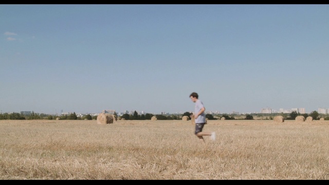 Video Reference: Photograph, Field, Grass family, Plain, Ecoregion, Fun, Hay, Human, Grassland, Grass