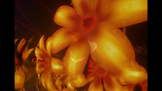 Video Reference: Orange, Yellow, Flower, Petal, Plant, Flame, Heat