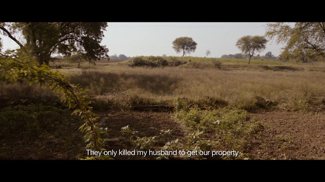 Video Reference: Nature, Vegetation, Natural landscape, Natural environment, Grassland, Plant community, Shrubland, Wildlife, Grass, Savanna