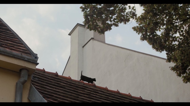 Video Reference: Roof, Sky, Architecture, Building, Chimney, House