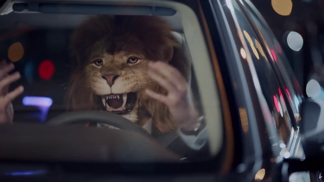 Video Reference: Vehicle door, Felidae, Whiskers, Auto part, Car, Vehicle, Snout, Automotive exterior, Windshield, Wildlife