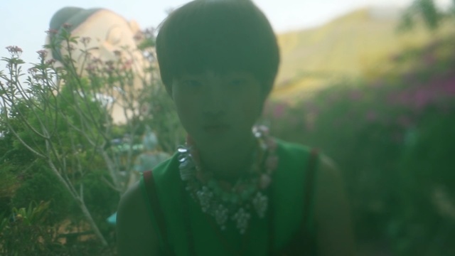 Video Reference: green, grass, sunlight, girl, tree, plant, fun, grass family