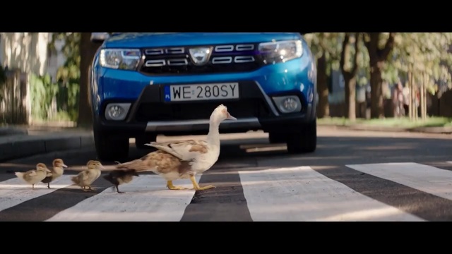 Video Reference: Vehicle, Car, Mode of transport, Sport utility vehicle, Automotive exterior, Dacia duster, Bumper, Road, Dacia sandero, Compact car